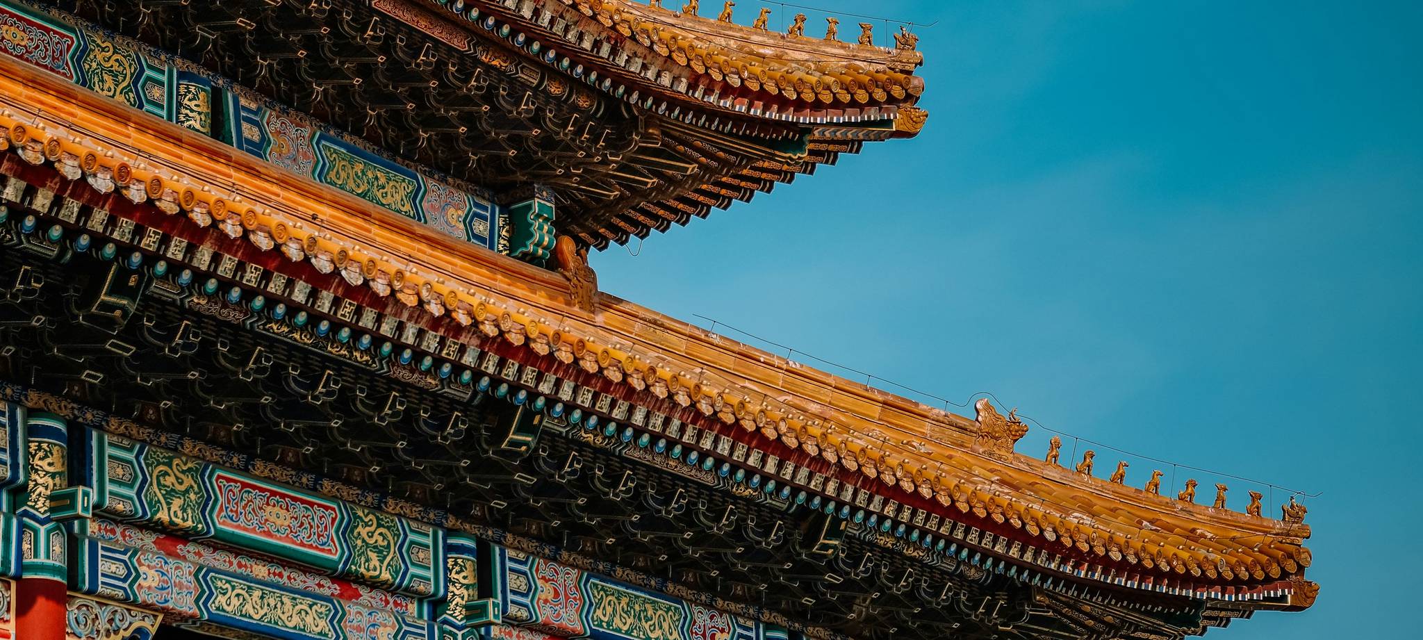 满冠体育简介